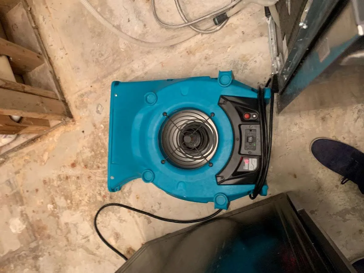 Air mover drying equipment for Mold Remediation & Removal in Taylorsville